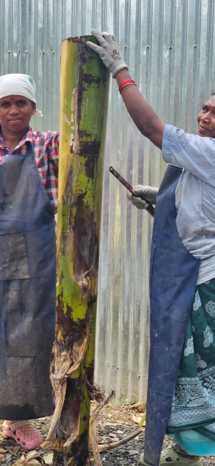 Workers handling a banana pseudostem at CVN Fiber